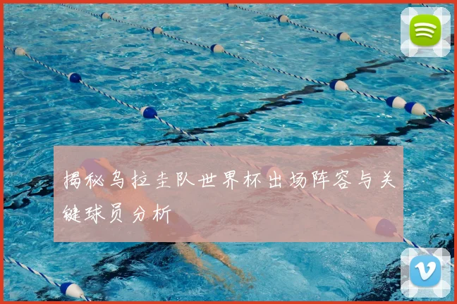 揭秘乌拉圭队世界杯出场阵容与关键球员分析